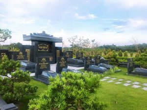 Đất NTD là gì?