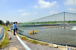 Đất NTS là gì? Giải thích chi tiết