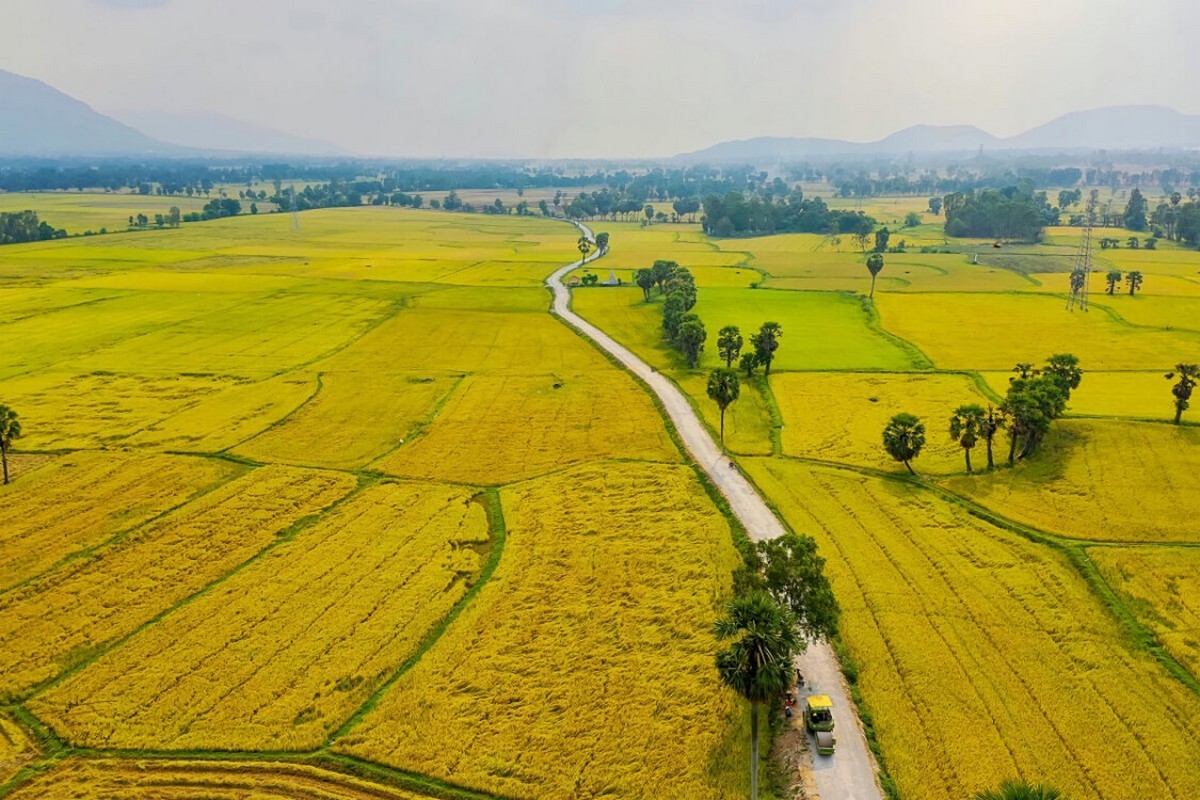 Cách đo diện tích đất theo sào nhanh và chuẩn