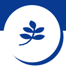 icon lý do 2