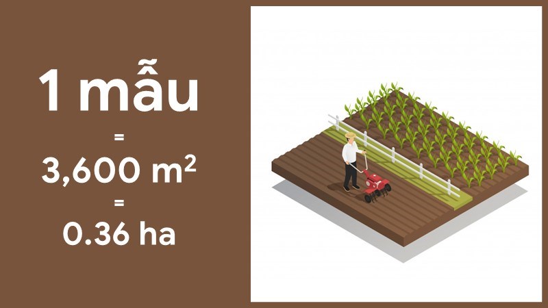 Ứng dụng thực tế trong bất động sản