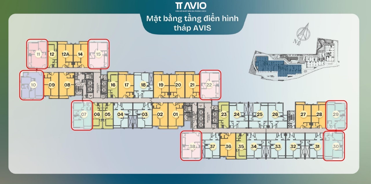 THIẾT KẾ CĂN HỘ TT AVIO