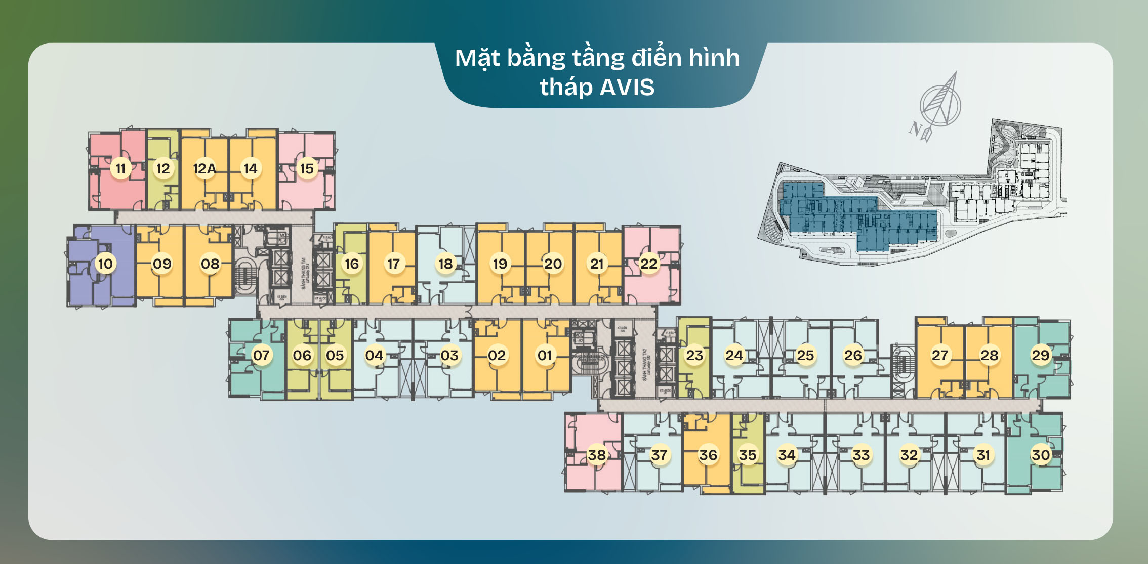 MẶT BẰNG DỰ ÁN TT AVIO DĨ AN