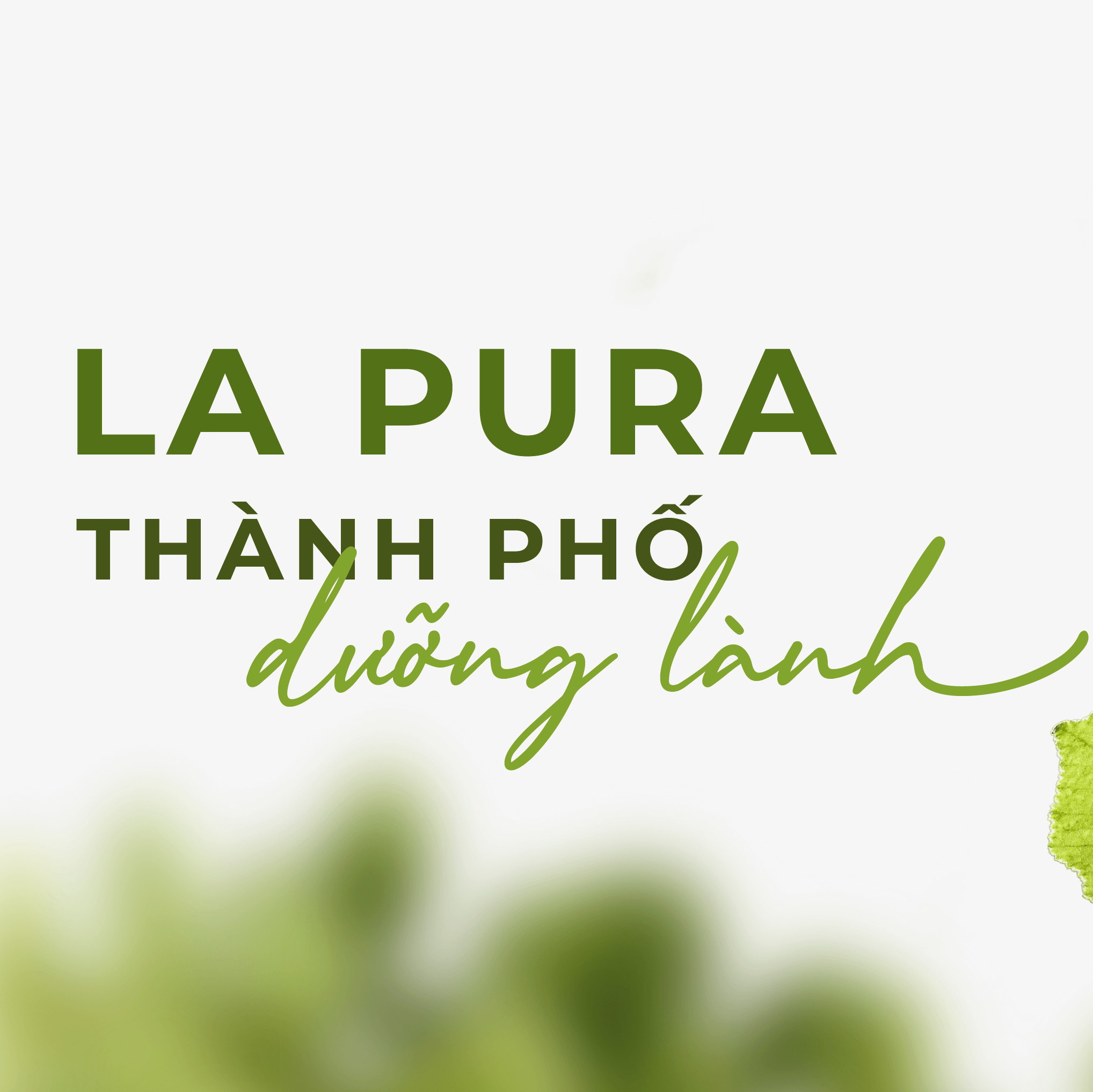 TỔNG QUAN DỰ ÁN LA PURA